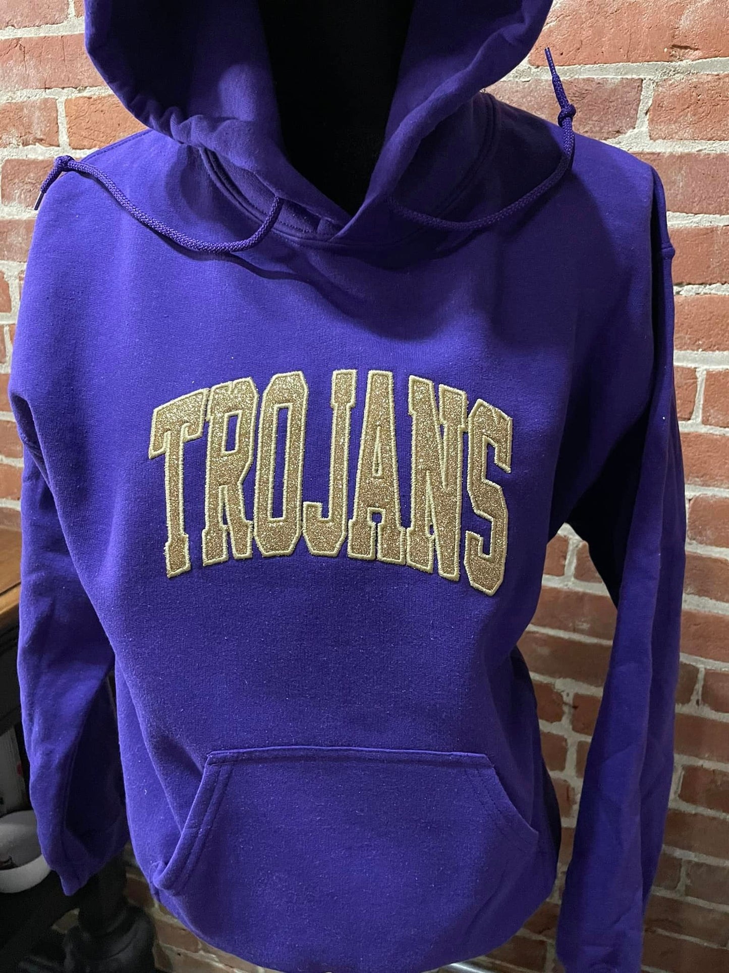 Embroidered Glitter Vinyl Mascot Shirt