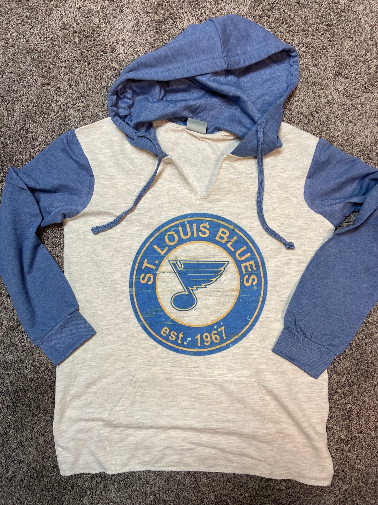 Blues Vintage Sleeve Established 1967 Hoodie
