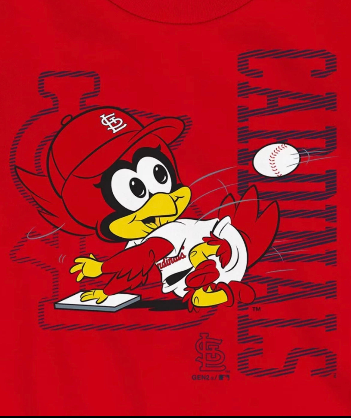 Cardinals Bird Teeshirt