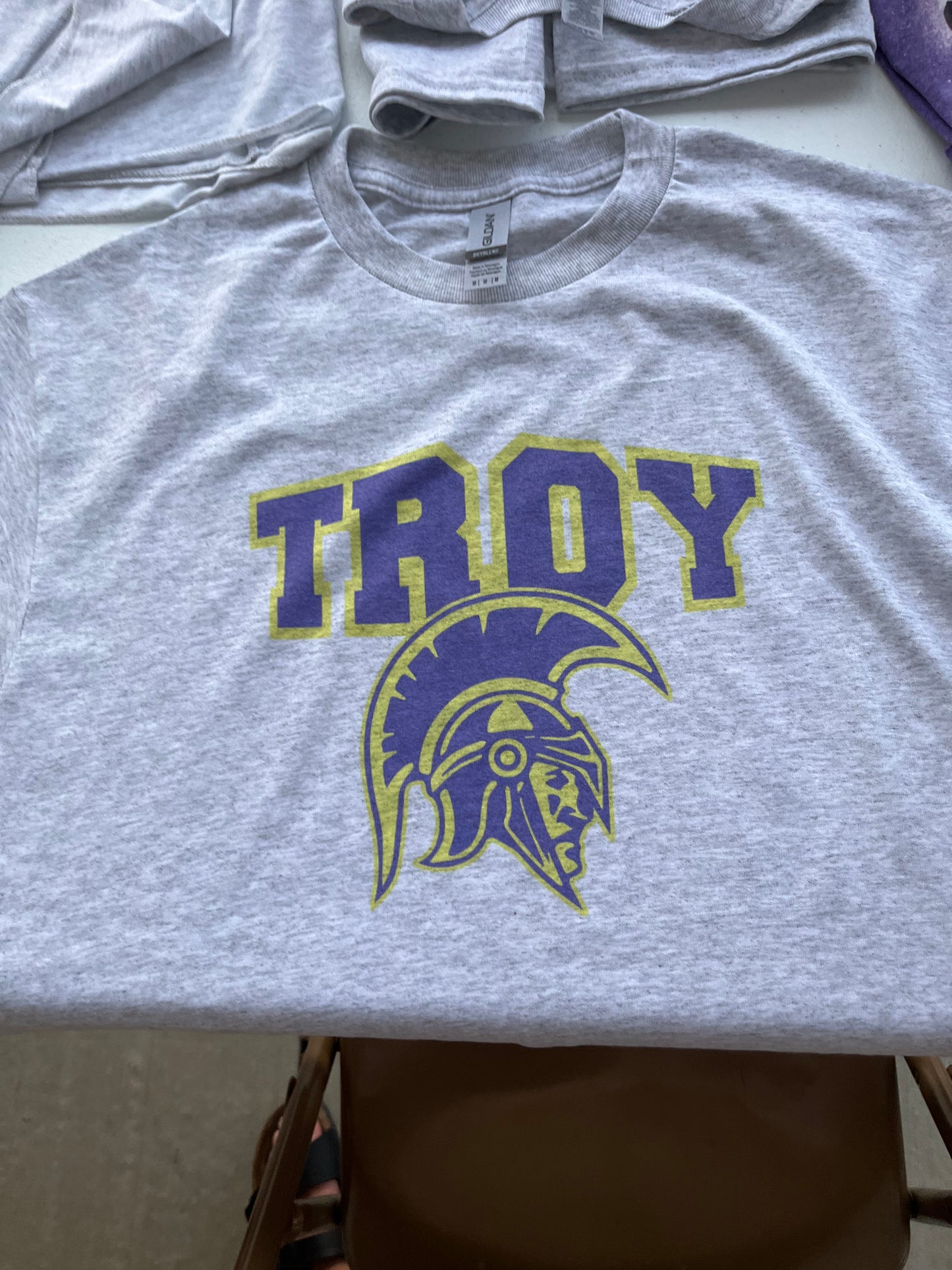 Troy with Trojan head