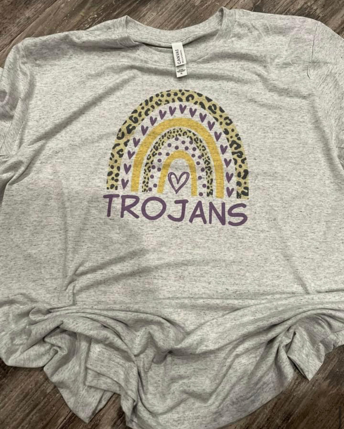 Troy Trojans Rainbow Shirt