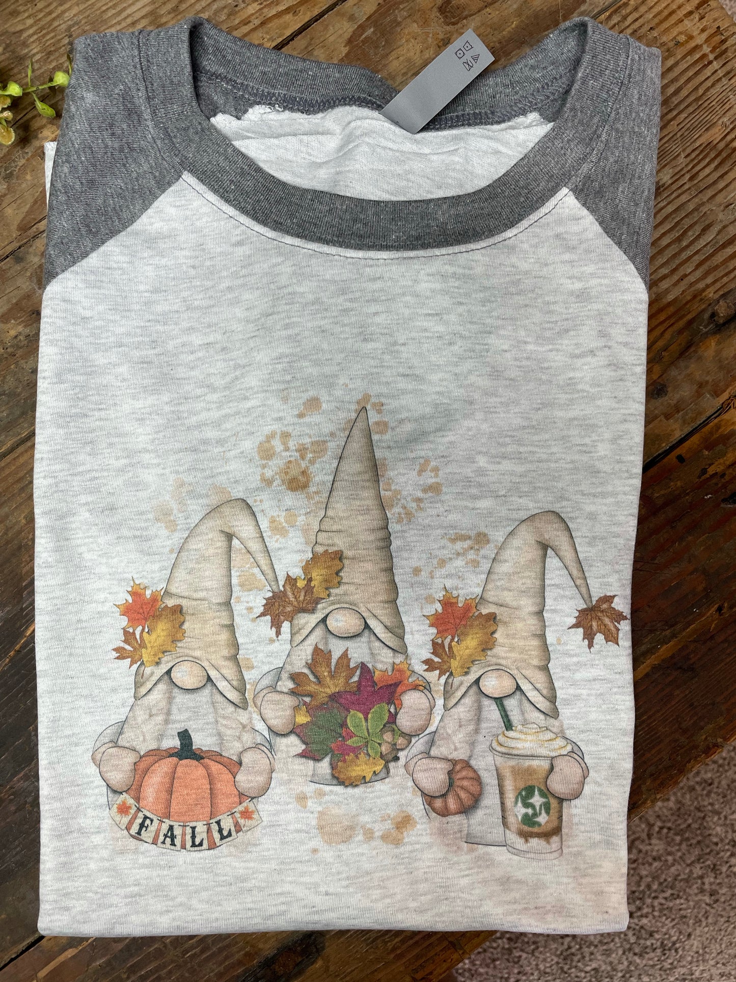 Fall Gnomes Raglan Shirt