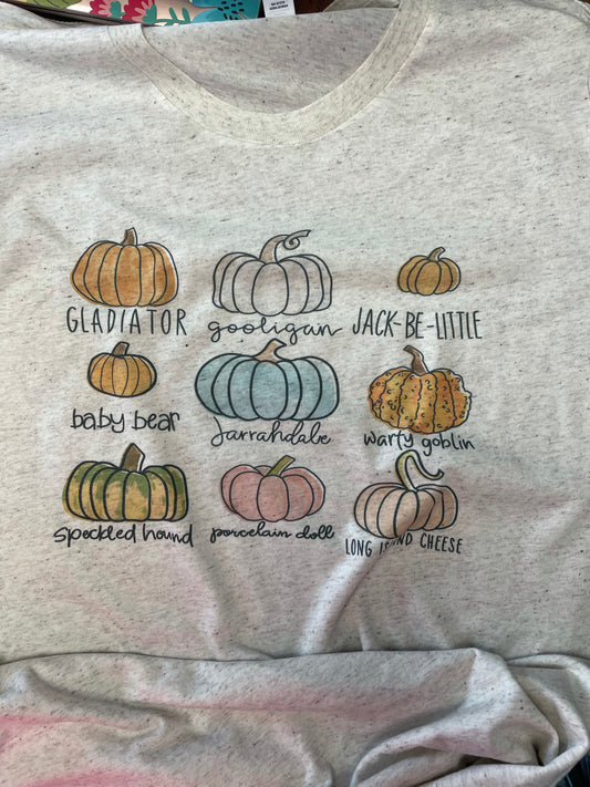 Various Pumpkins Teeshirt